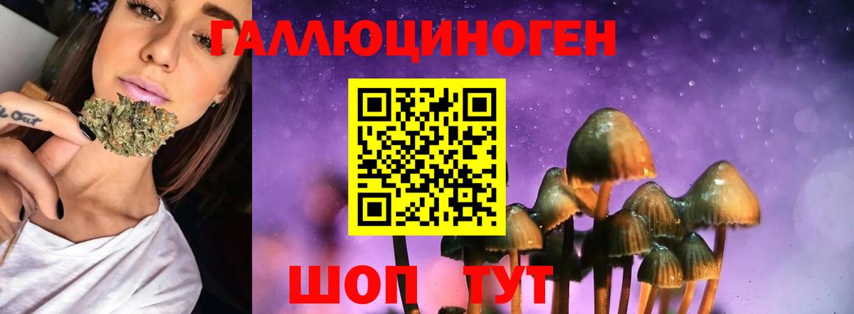 Галлюциногенные грибы Psilocybine cubensis Похвистнево